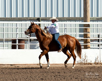 4H horse 22-1
