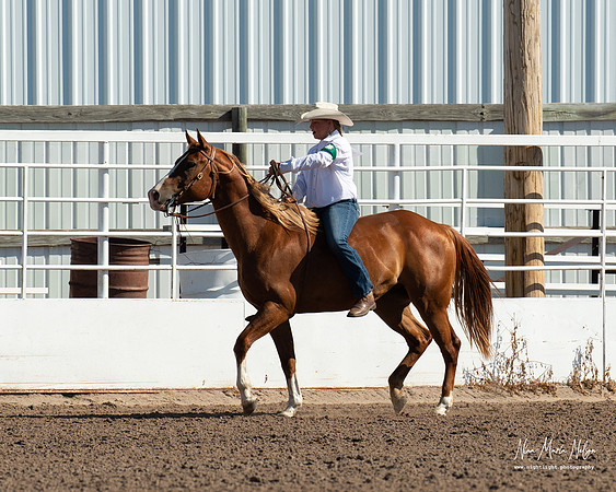 4H horse 22-1