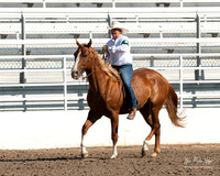 CC 4H Horse show 2022