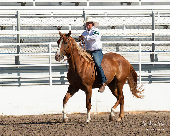 4H horse 22-3