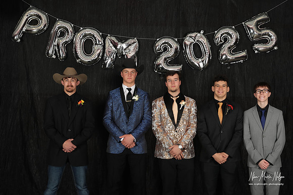 VHS Prom 2025 sm-31