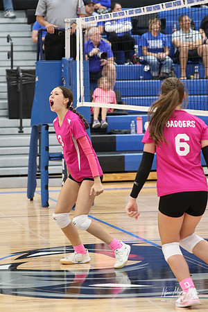 VB @ Hershey 25-48