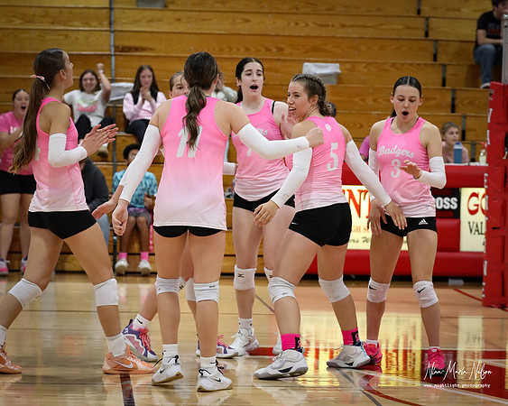 VB Val Pink Out 25-14
