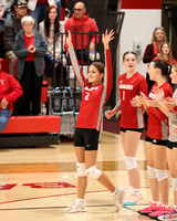 VHS VB Sub- Dist- Perkins-2