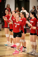VHS VB Sub- Dist- Perkins-4
