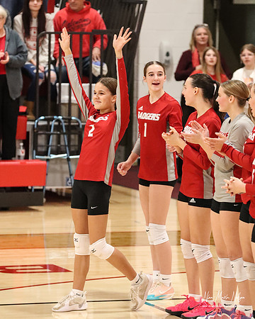VHS VB Sub- Dist- Perkins-3