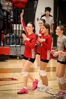 VHS VB Sub- Dist- Perkins-6