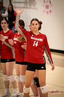 VHS VB Sub- Dist- Perkins-15