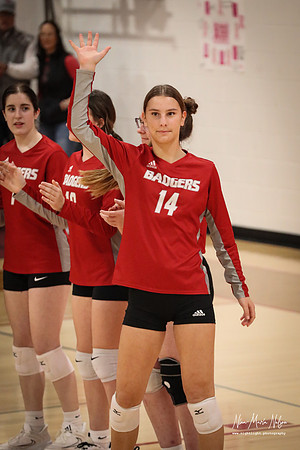 VHS VB Sub- Dist- Perkins-15