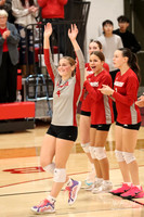 VHS VB Sub- Dist- Perkins-17