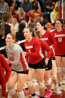 VHS VB Sub- Dist- Perkins-20