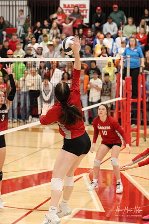 VHS VB Sub- Dist- Perkins-30