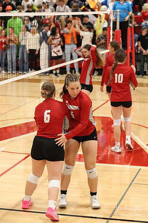 VHS VB Sub- Dist- Perkins-29