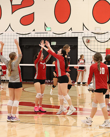 VHS VB Sub- Dist- Perkins-44