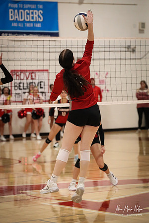 VHS VB Sub- Dist- Perkins-49