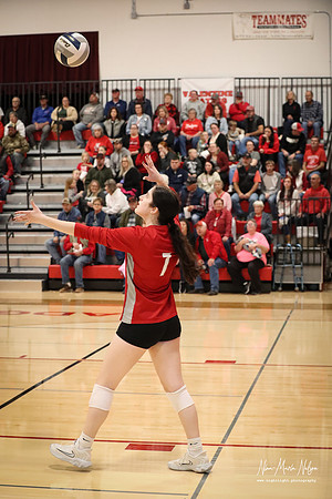 VHS VB Sub- Dist- Perkins-53
