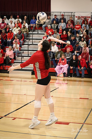 VHS VB Sub- Dist- Perkins-54