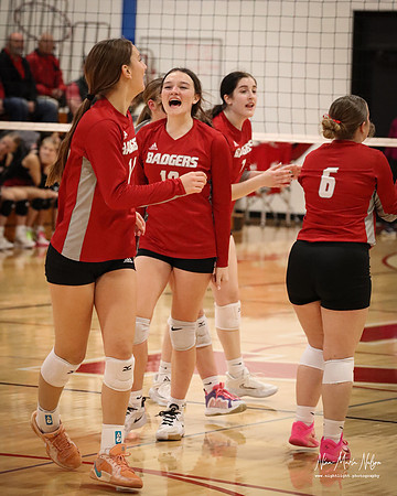 VHS VB Sub- Dist- Perkins-61