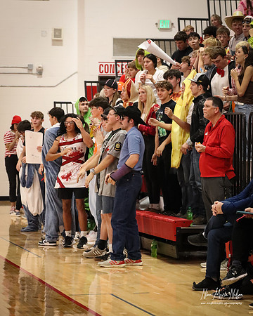 VHS VB Sub- Dist- Perkins-63