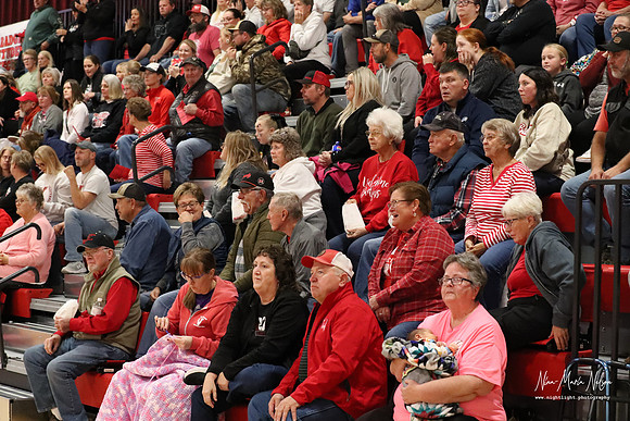 VHS VB Sub- Dist- Perkins-65