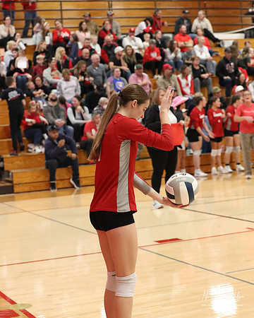VHS VB Sub- Dist- Perkins-66