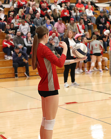 VHS VB Sub- Dist- Perkins-67