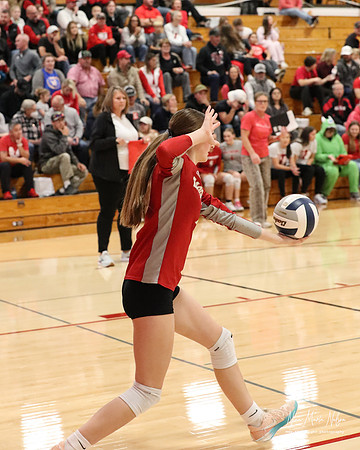 VHS VB Sub- Dist- Perkins-69