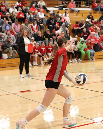 VHS VB Sub- Dist- Perkins-71
