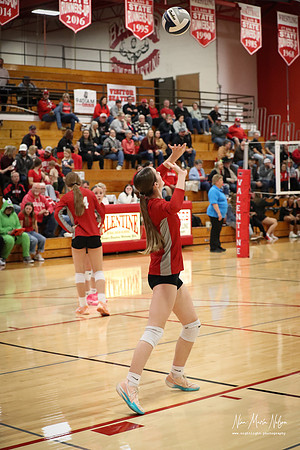 VHS VB Sub- Dist- Perkins-74