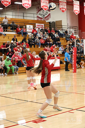 VHS VB Sub- Dist- Perkins-73