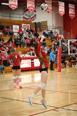 VHS VB Sub- Dist- Perkins-75
