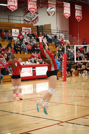 VHS VB Sub- Dist- Perkins-76