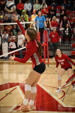 VHS VB Sub- Dist- Perkins-81