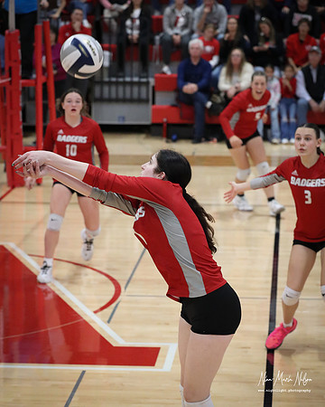 VHS VB Sub- Dist- Perkins-84