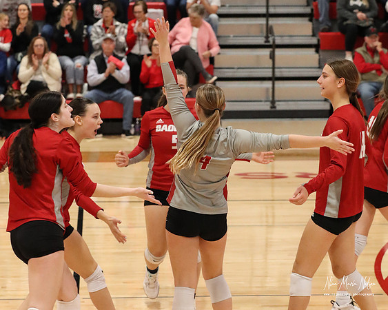 VHS VB Sub- Dist- Perkins-36
