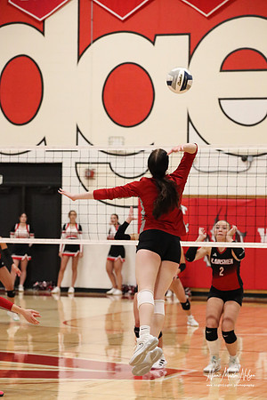 VHS VB Sub- Dist- Perkins-41