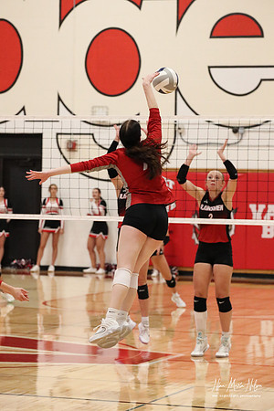 VHS VB Sub- Dist- Perkins-42