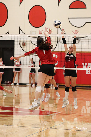 VHS VB Sub- Dist- Perkins-43