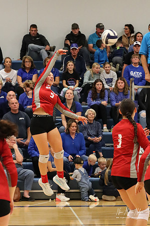 VHS VB District-41