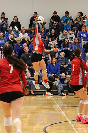 VHS VB District-40