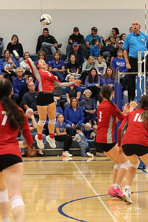 VHS VB District-39
