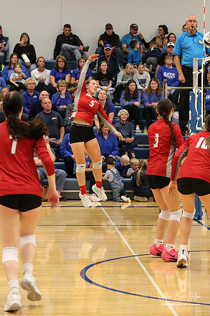 VHS VB District-42