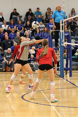 VHS VB District-50