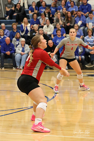 VHS VB District-61