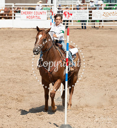 4H Show 2021-46