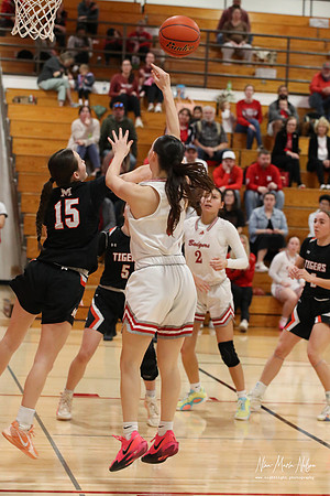 VHS vs Mitchell NN 2026-49