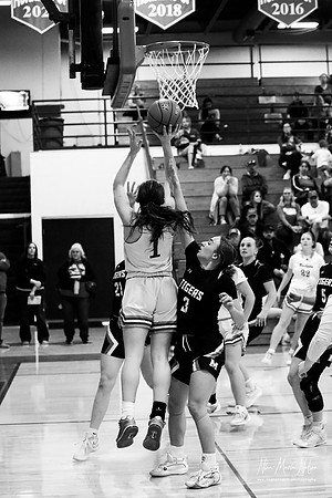 VHS vs Mitchell NN 2026-73