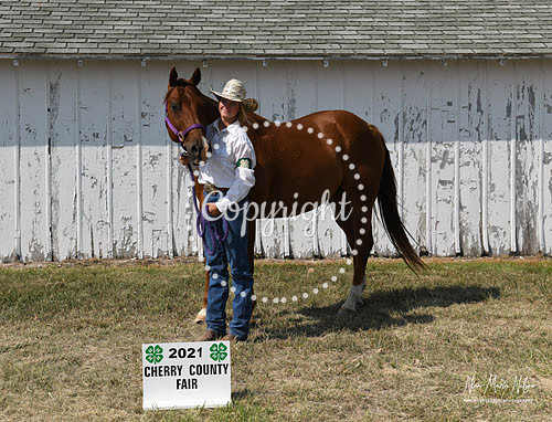 4H Awards 2021-61
