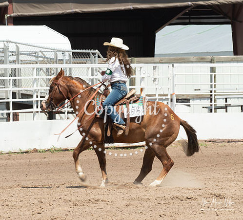 4H Show 2021-13