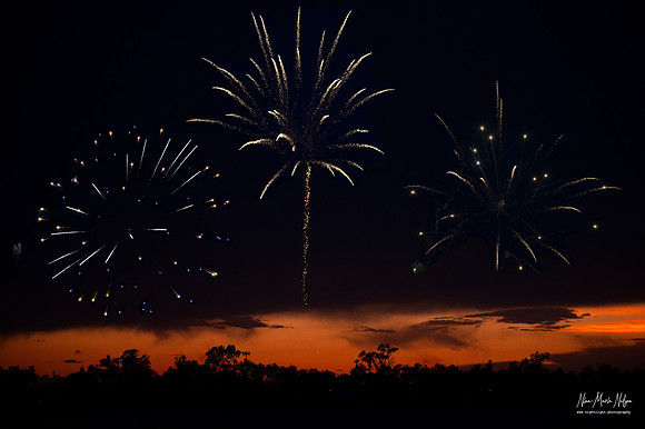 IMG_4451